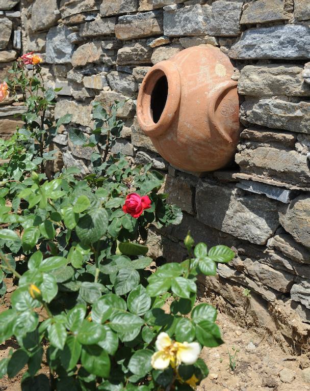 Aparthotel Akti Aegeou Ayios Sostis Exteriér fotografie